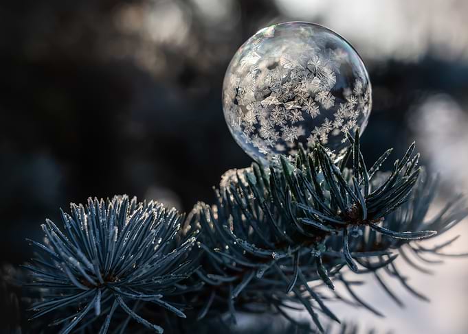Winter Stories II