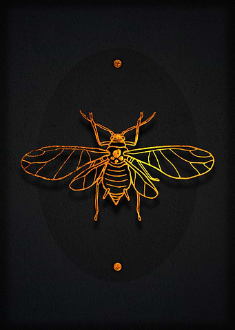 Golden Bug