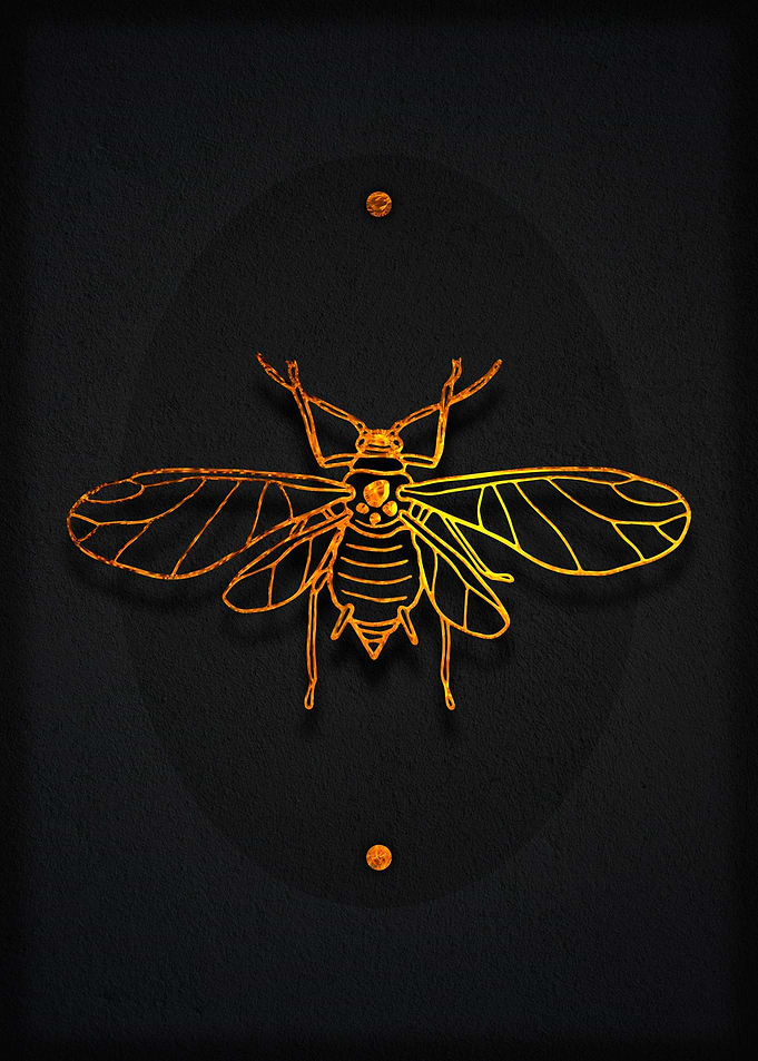Golden Bug