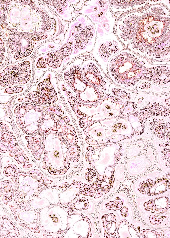 Pink Gold Marble 07