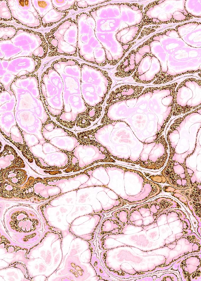 Pink Gold Marble 09