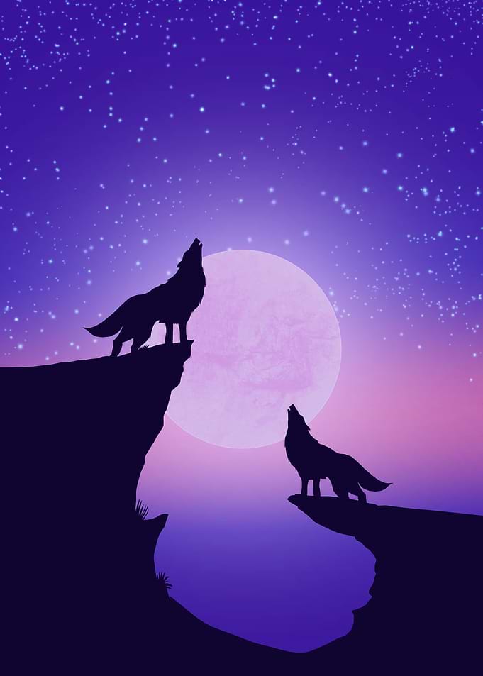moon wolves howling scene