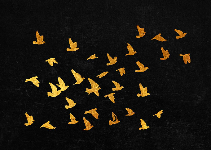 Birds flocking