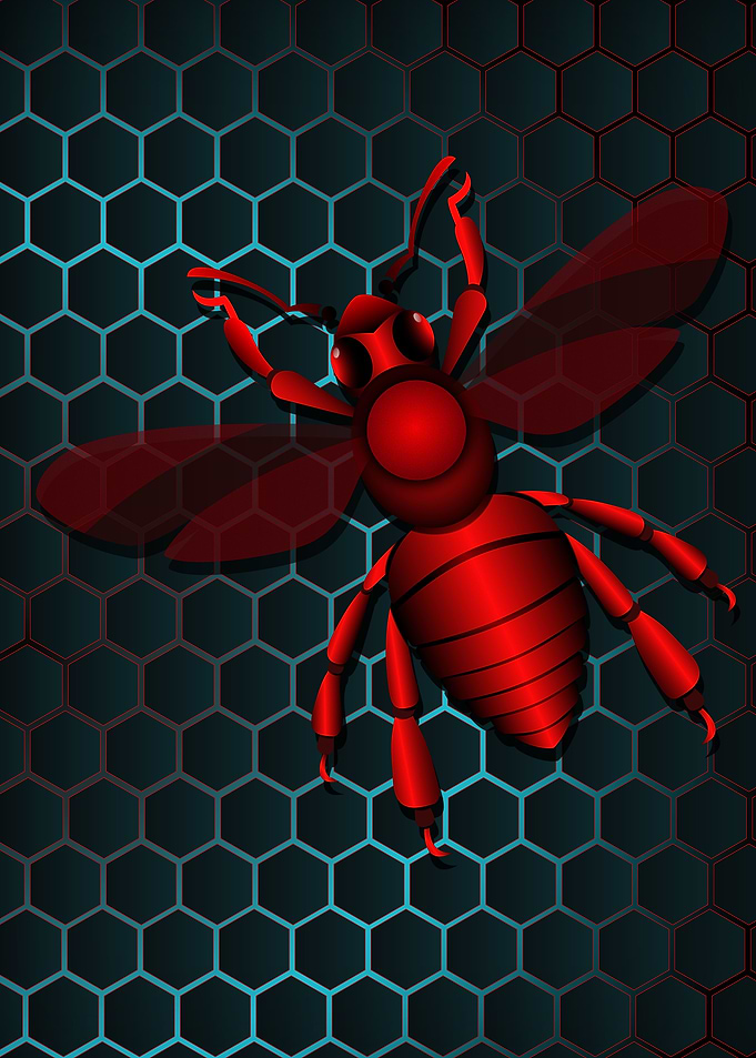insect