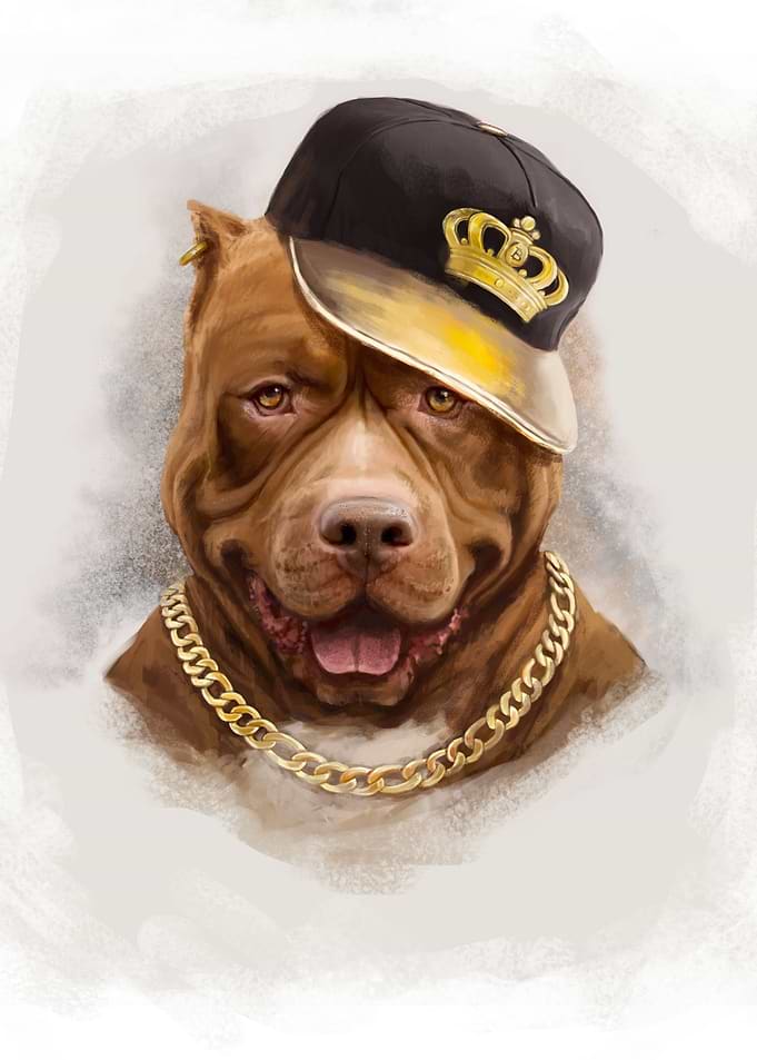 Cool Dog