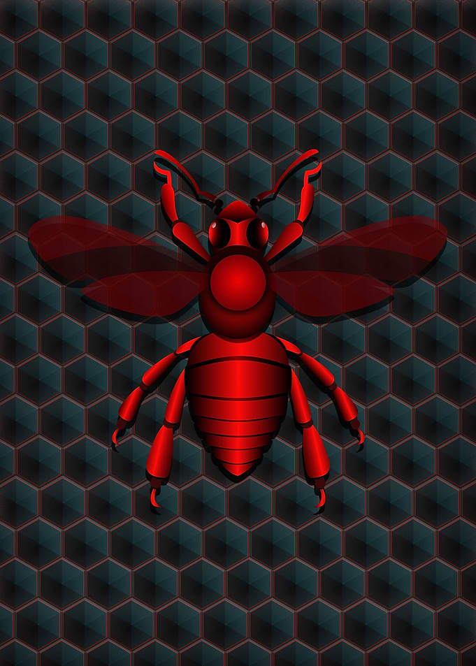 insect