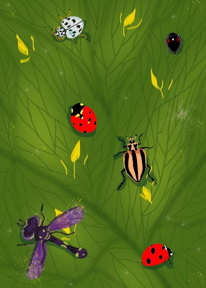 Lady bug and her friends