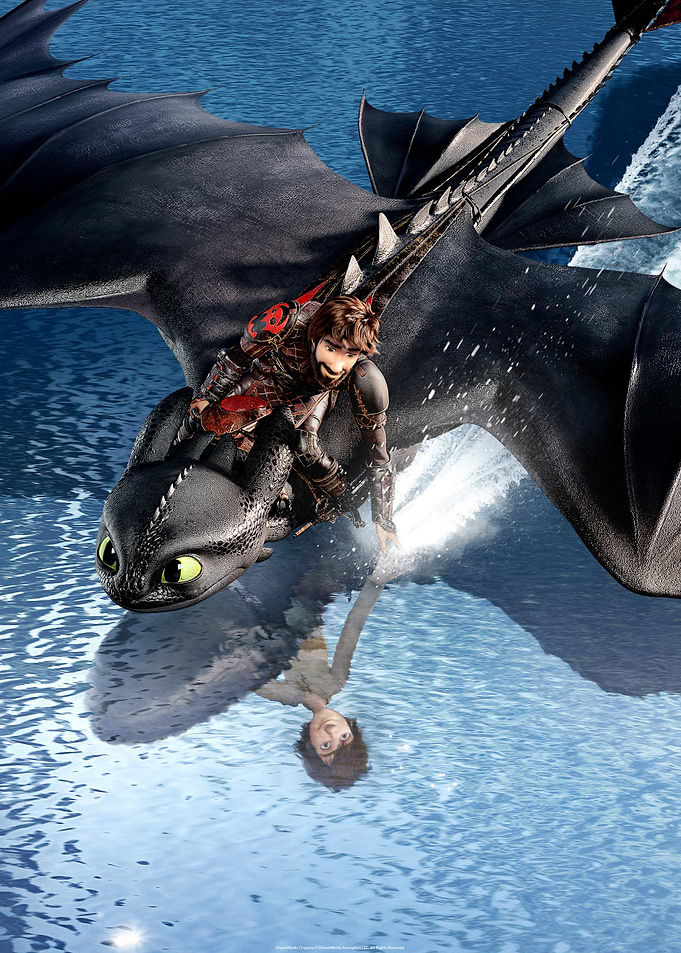 Hiccup's Journey
