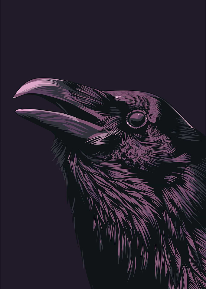 raven pop art