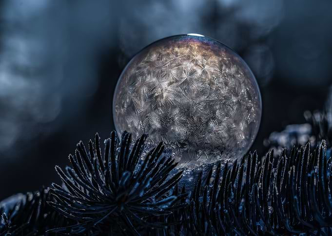 Winter Tales V