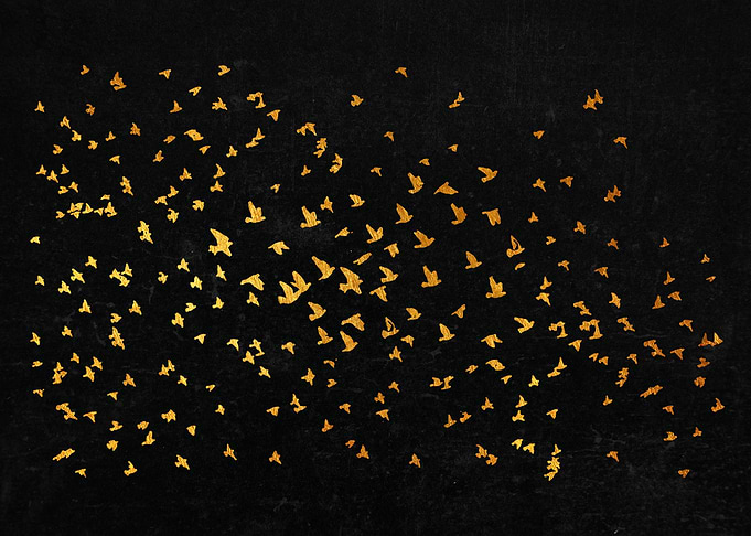 Birds flocking