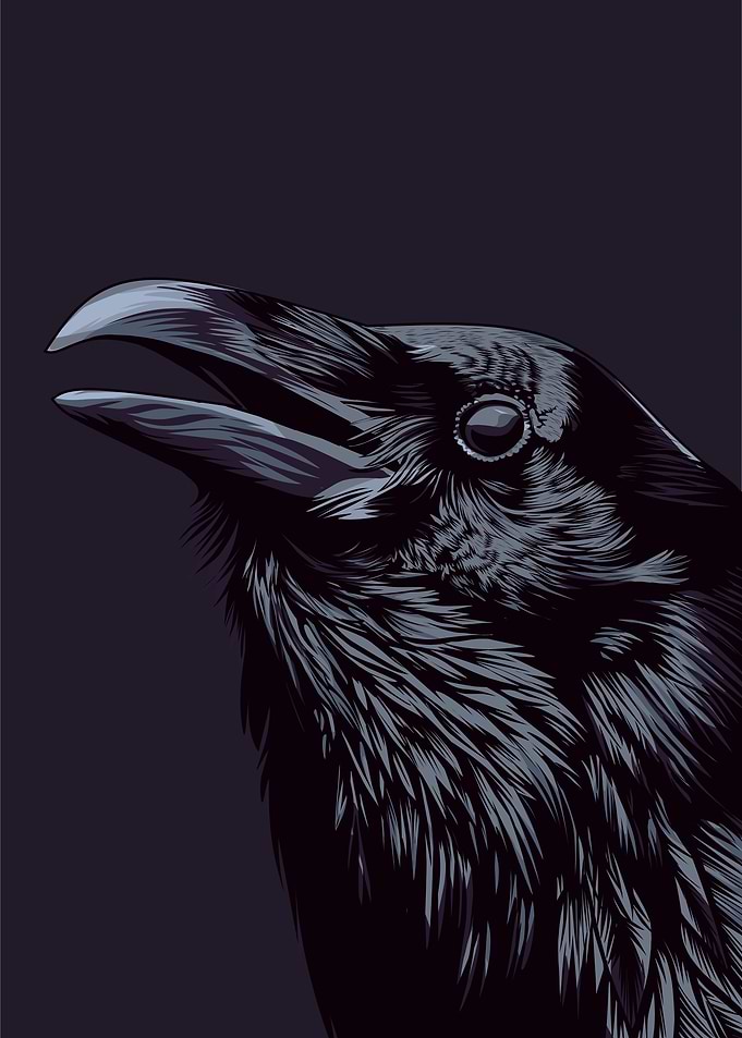 raven pop art