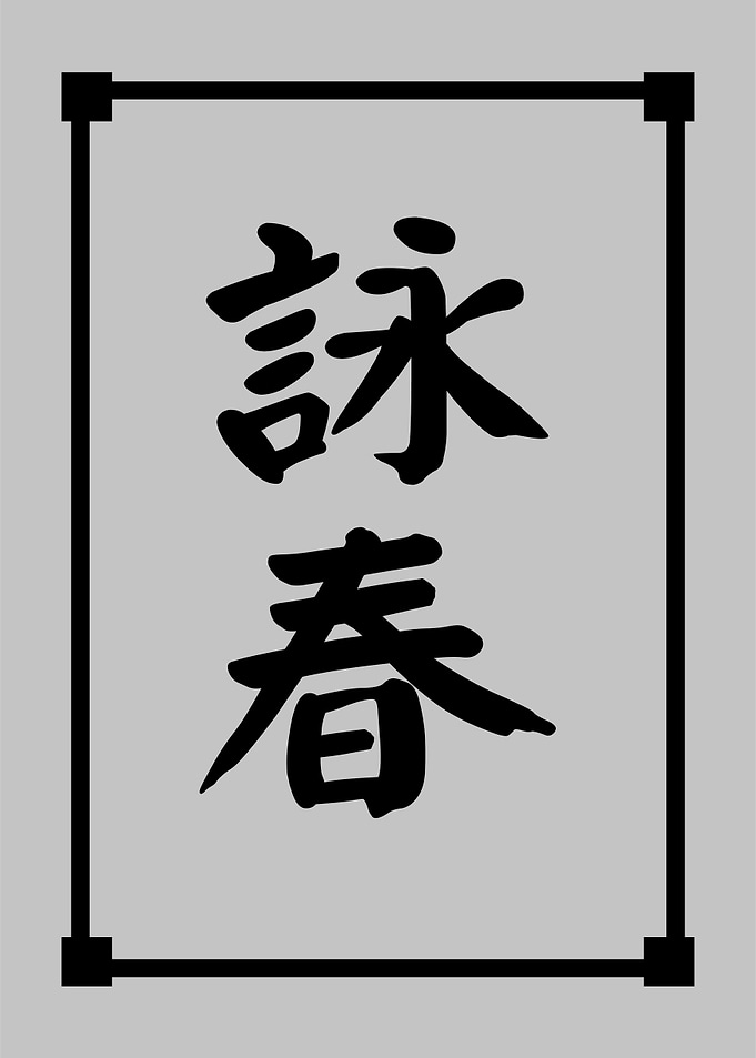 Wing Chun Ip Man