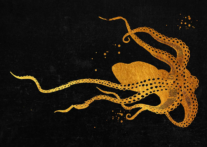 Octopus