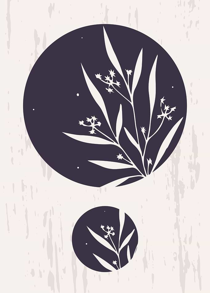 Moon phases botanical art