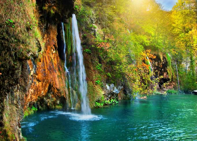 Waterfall in the Forest