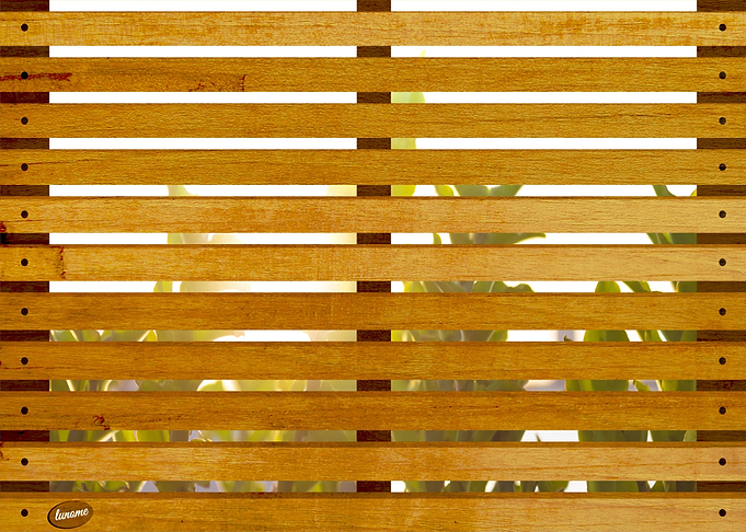 Wooden Trellis