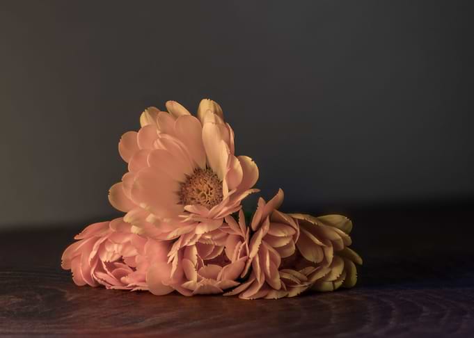 Marigold Number 1