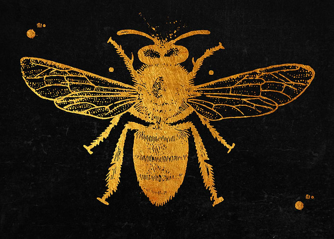 Honey Bee