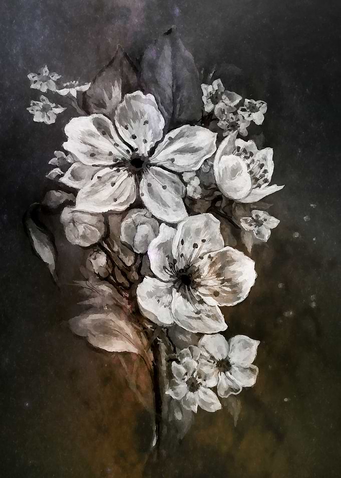 Monochrome cherry blossom
