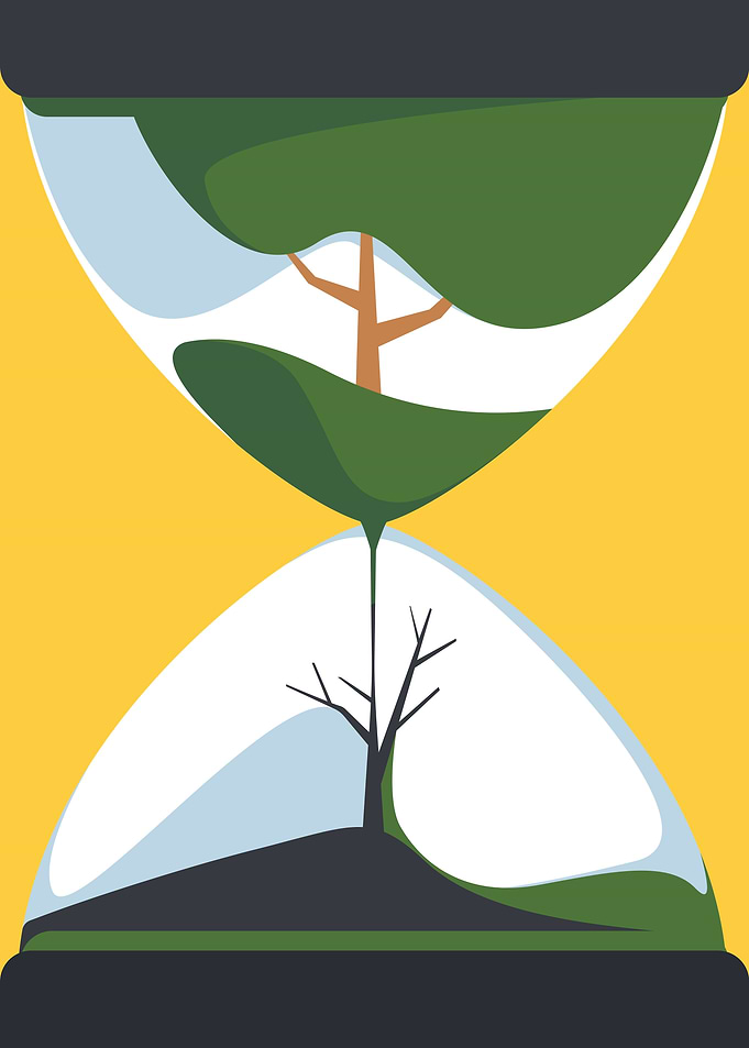 Tree life cycle
