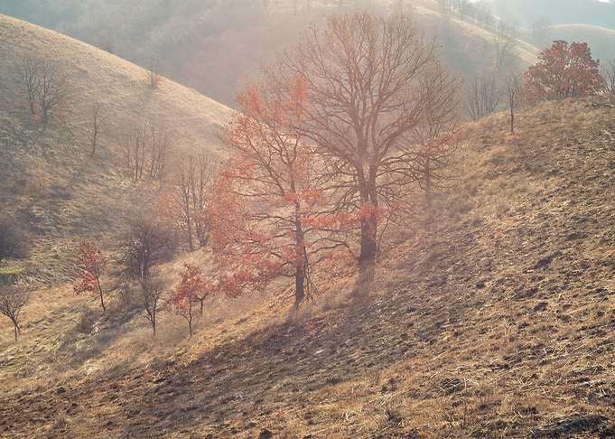 Hazy hills