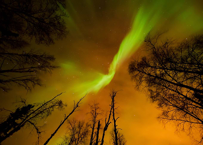 Aurora Northern Lights