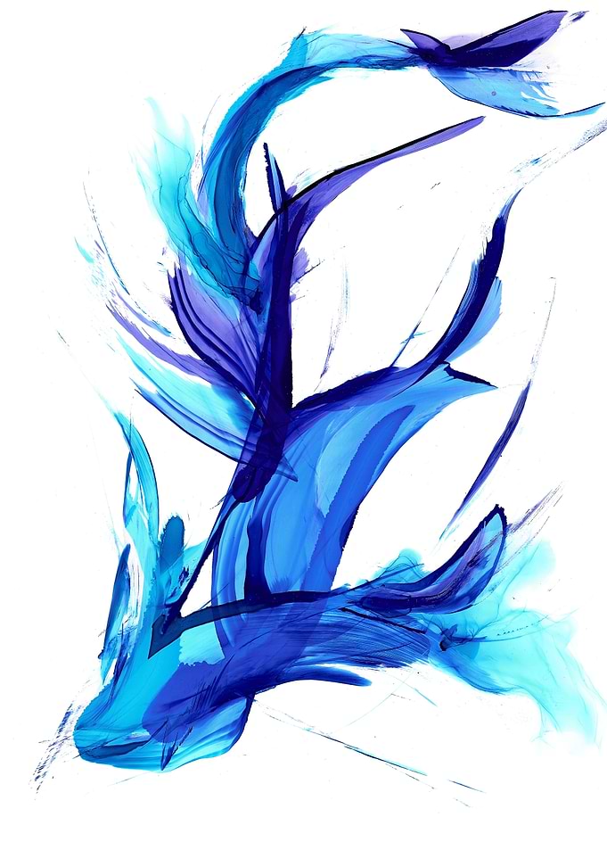Barracuda