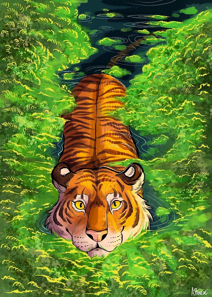 Tiger in the Algae