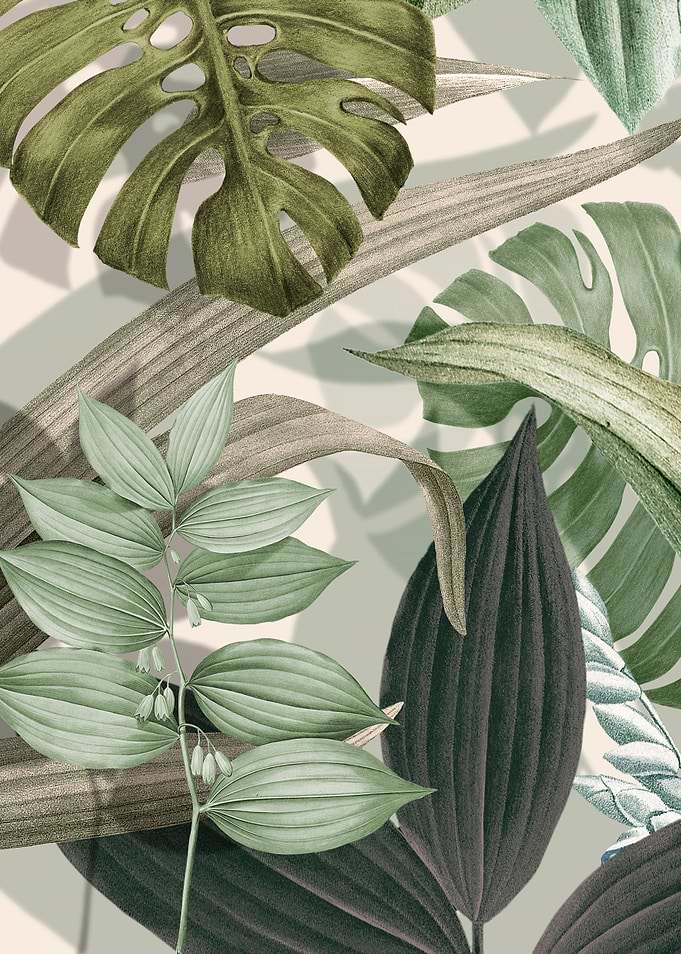 TROPICAL BOTANIC FLORAL70A