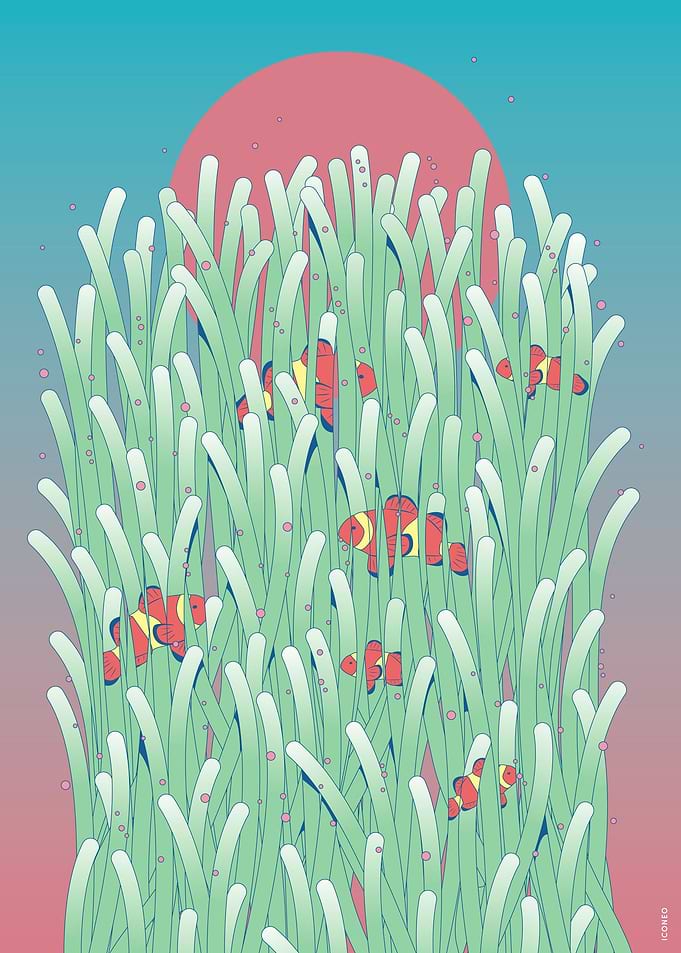 Clownfish and coral