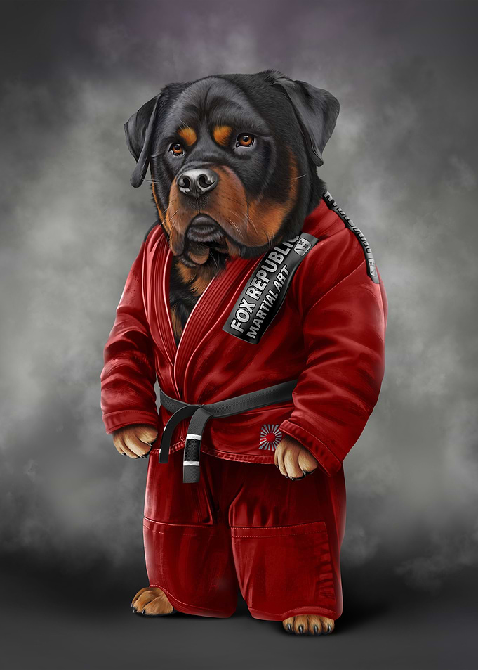 Rottweiler Martial Artist
