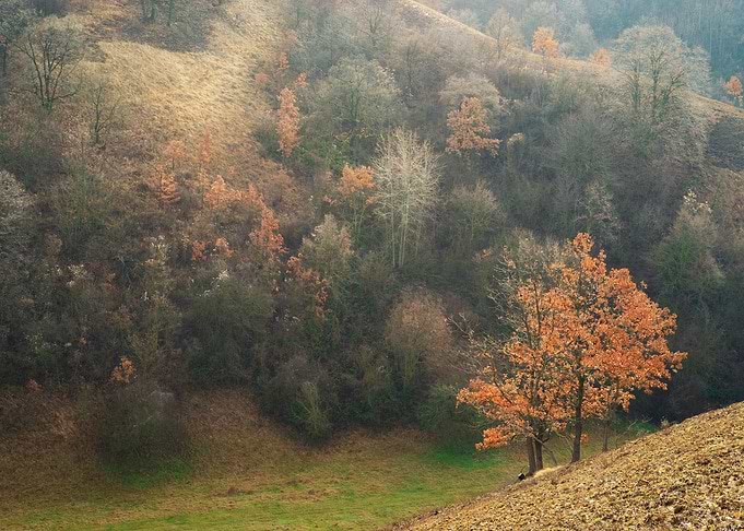 Hills
