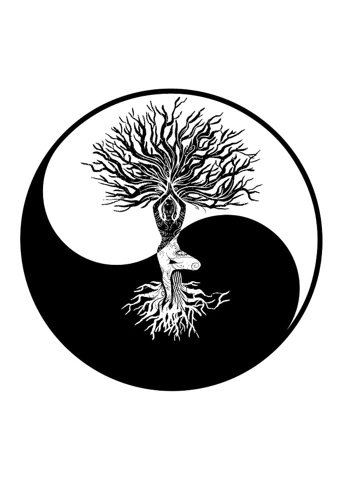 Yin yang woman tree yoga