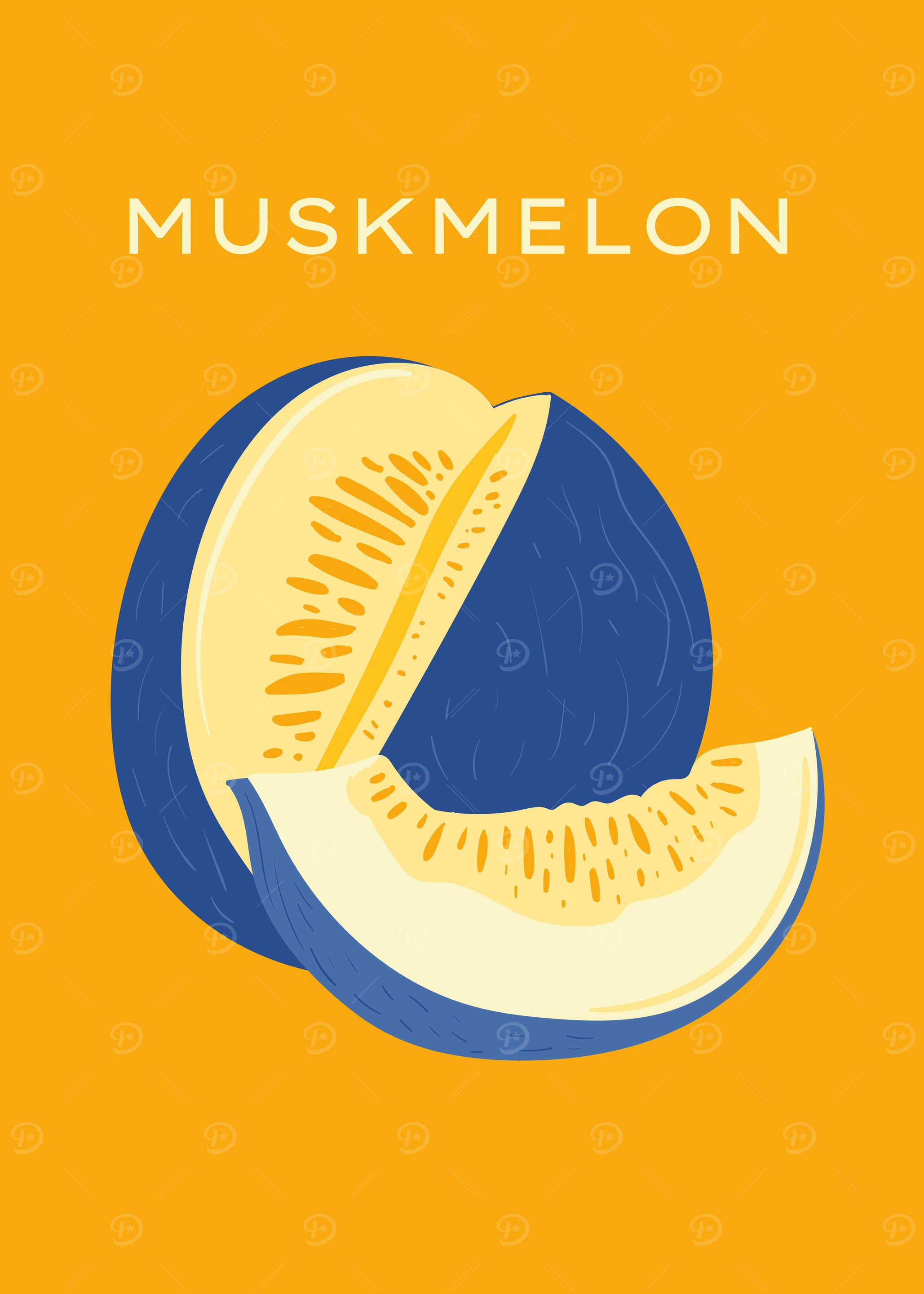Muskmelon botanical fruit