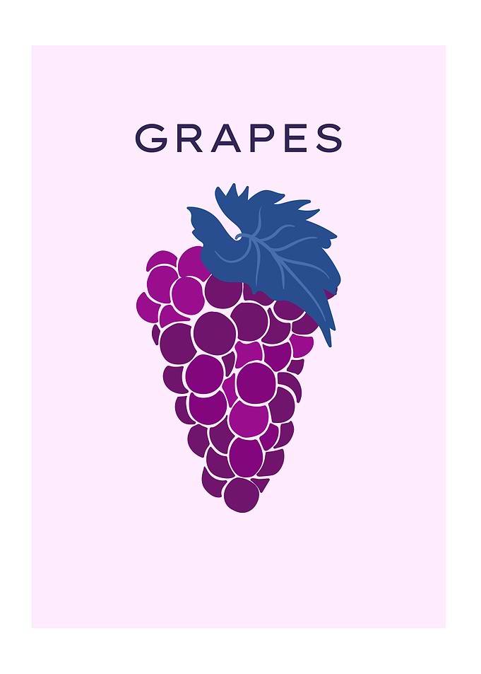 Grapes botanical fruit