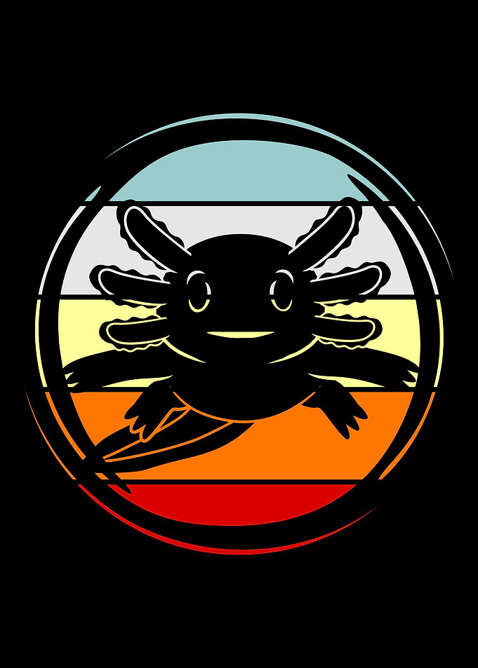 Axolotl