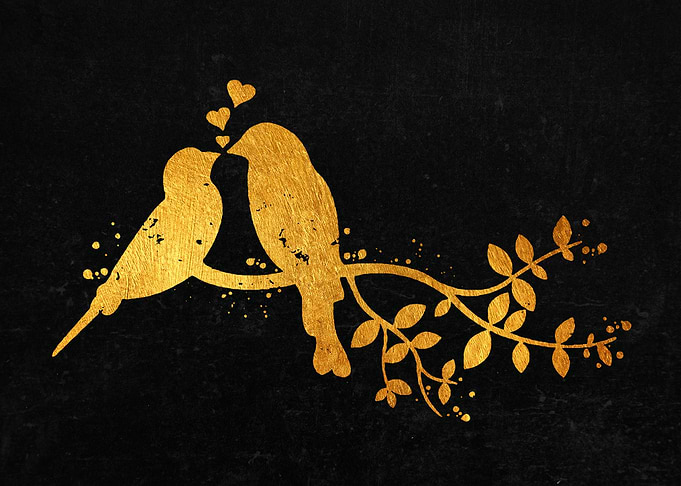 Bird Couple