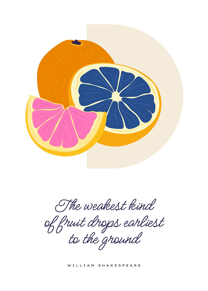 Oranges botanical fruit
