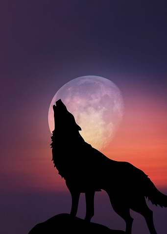 Wolf Silhouette