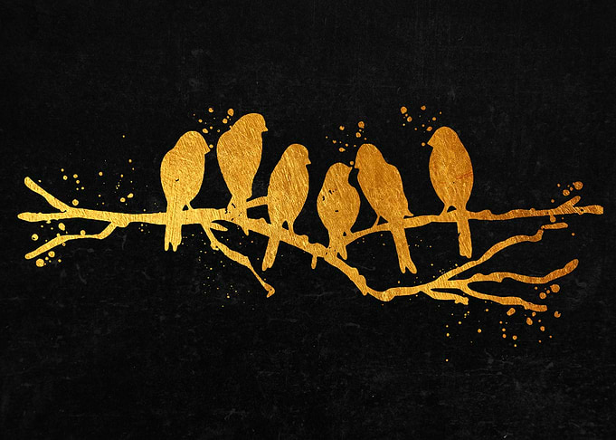 Birds on Branch