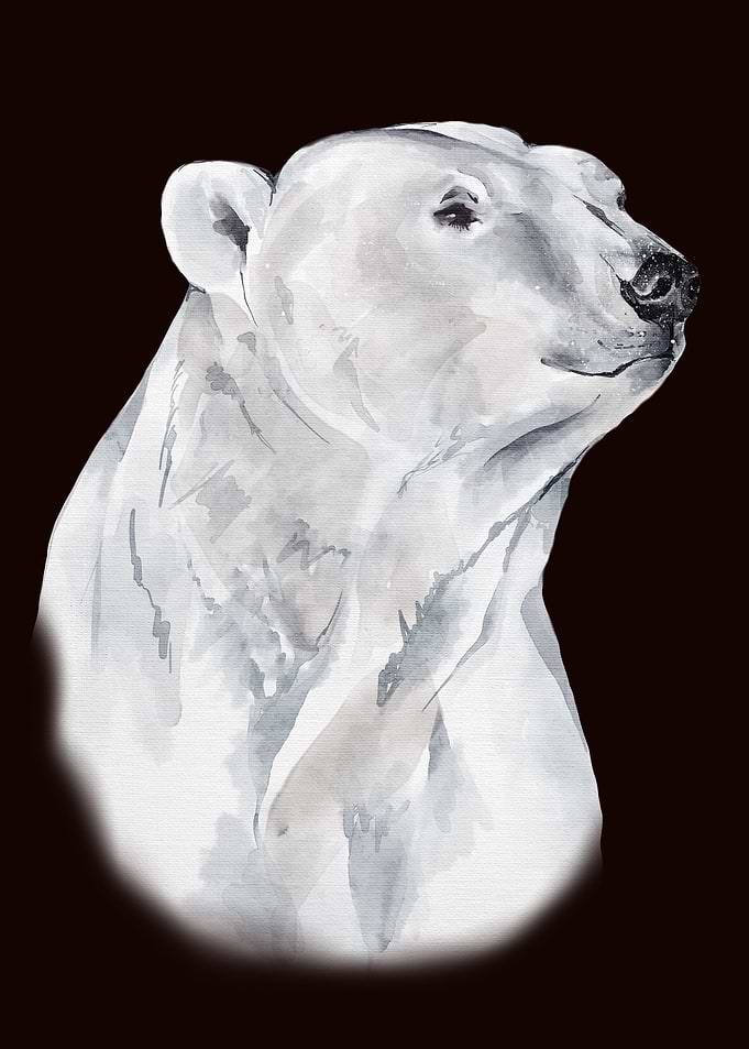 Polar Bear Cute