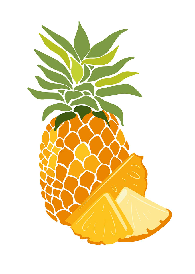Nature Pineapple poster