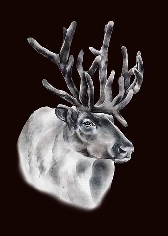 Reindeer Art