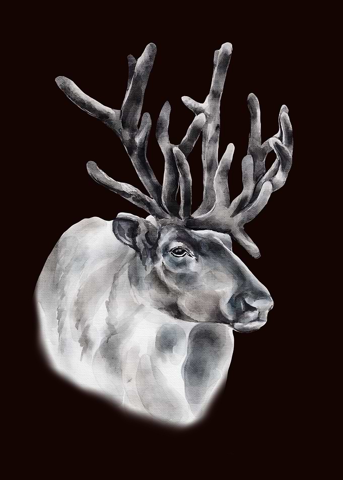 Reindeer Art