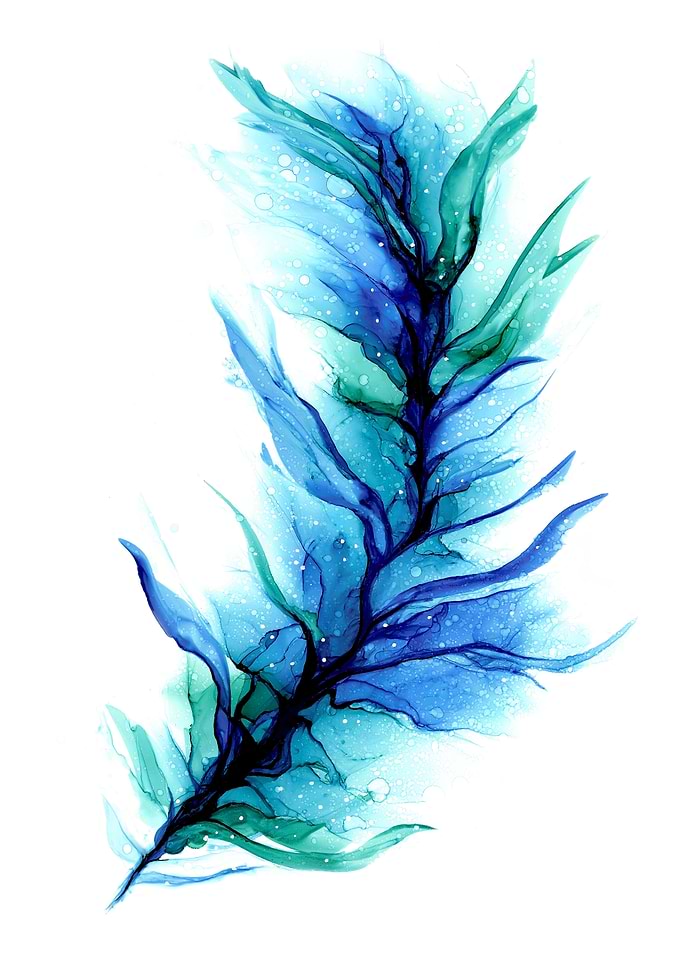 Thunderbird Feather