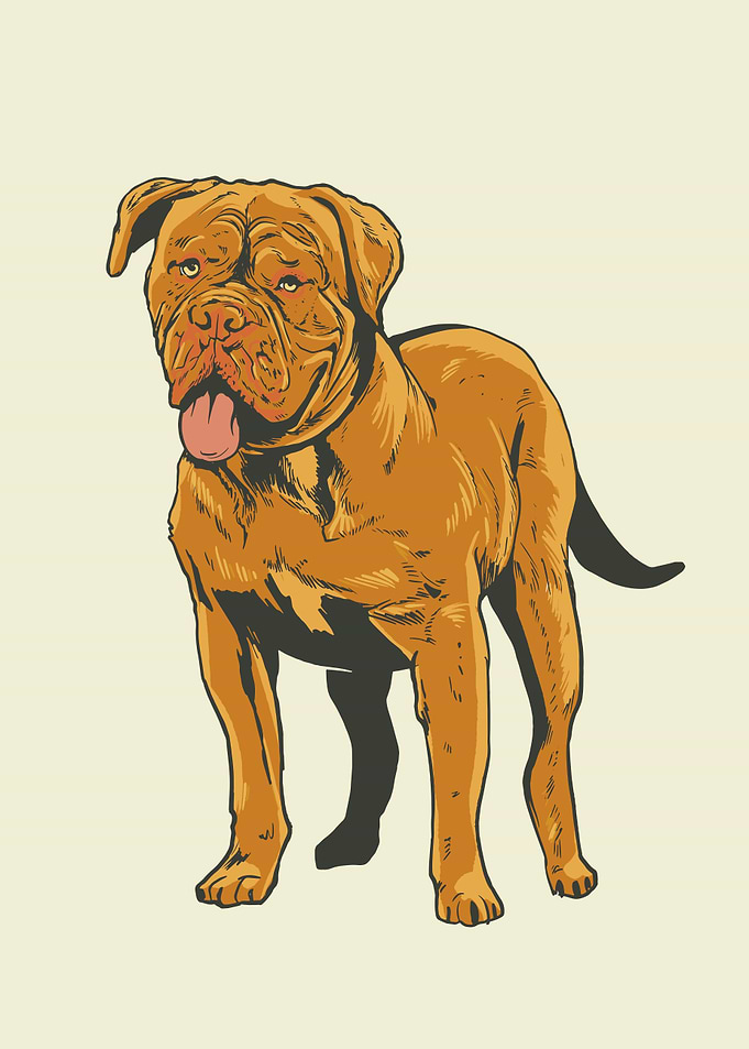 Bulldog dog realistic