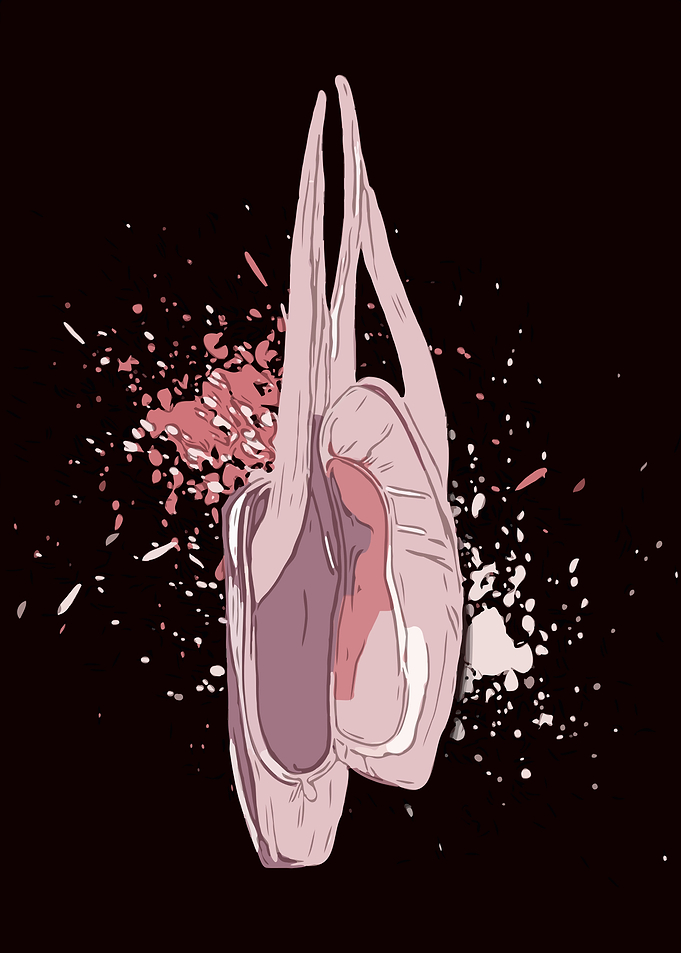 Ballet Shoes Wall Art