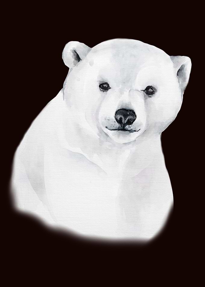 The polar bear