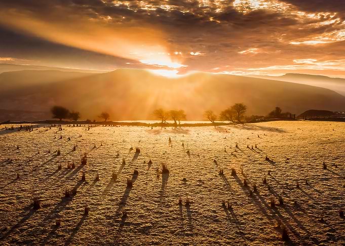 Long early morning shadows